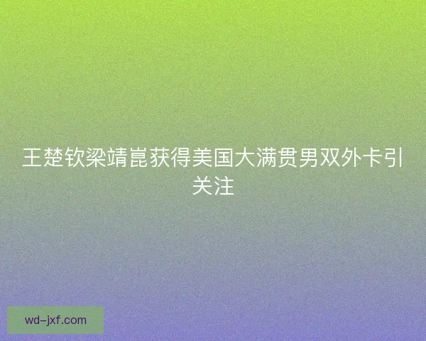 王楚钦梁靖崑获得美国大满贯男双外卡引关注