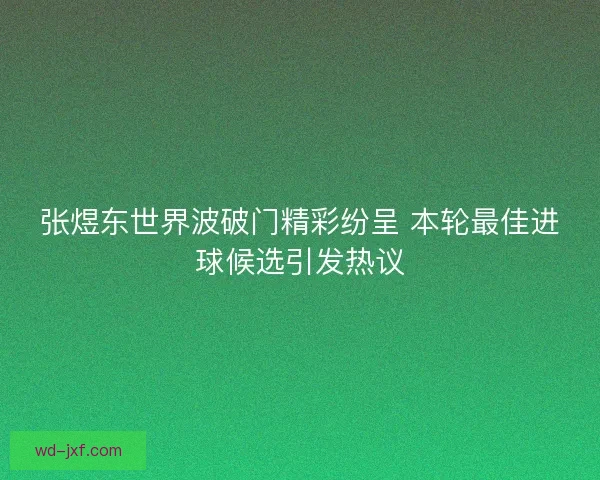 张煜东世界波破门精彩纷呈 本轮最佳进球候选引发热议 张煜东世界波破门精彩纷呈 本轮最佳进球候选引发热议